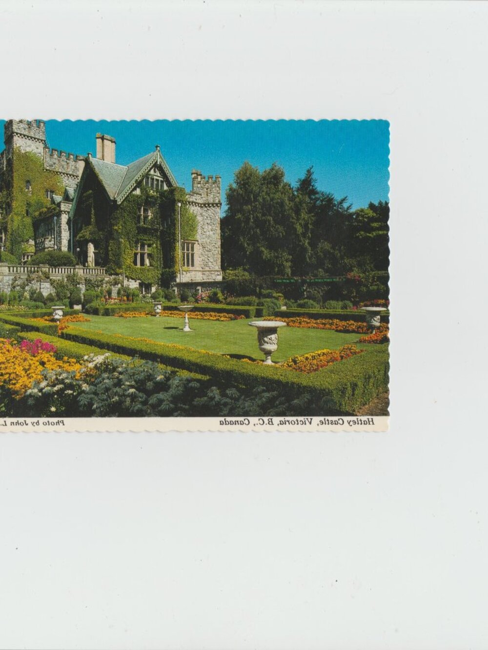 Canada Victoria, B.C. Hatley Castle Vintage Postcard Continental